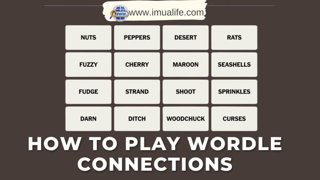 wordle connections game